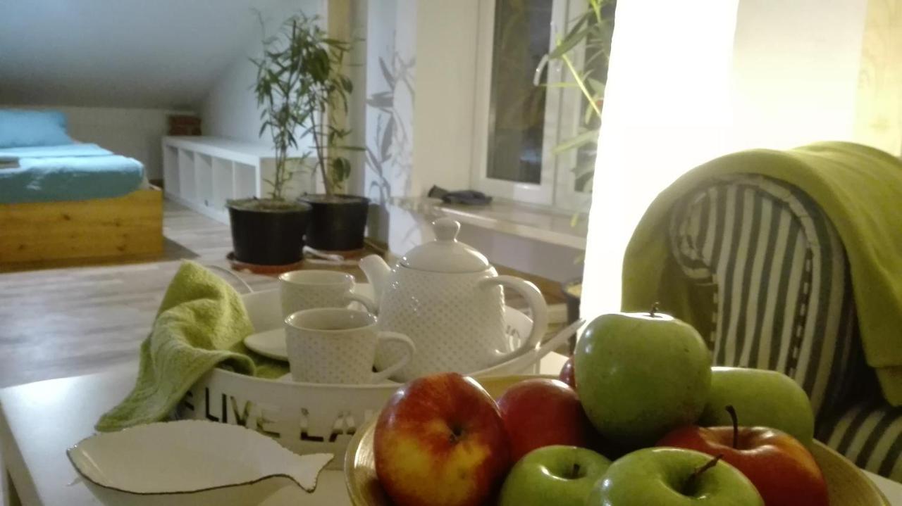 Swieże Poddasze u Przybyszów Andruszkowice Exterior foto